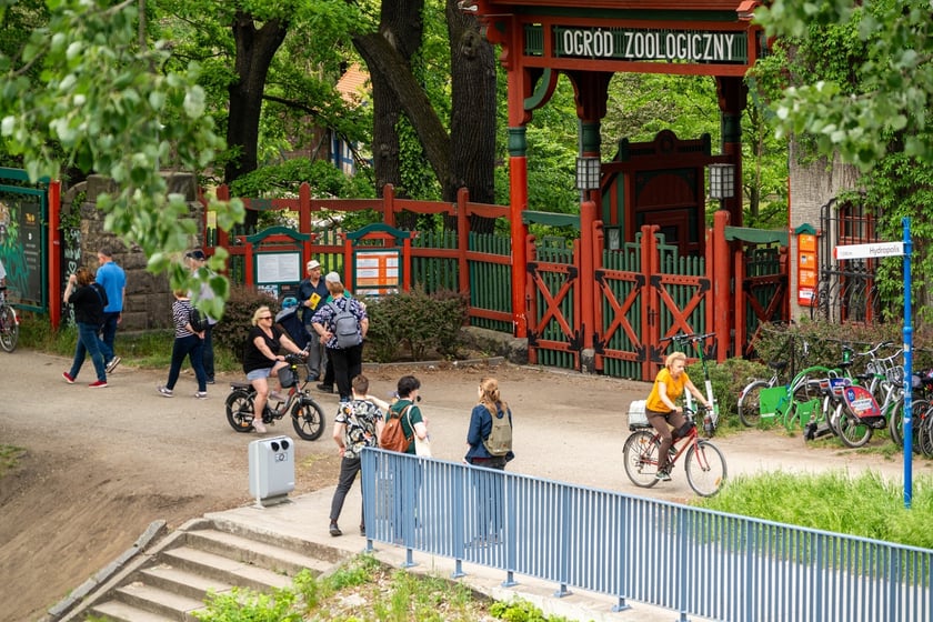 Tak wrocławianie relaksują się w mieście. Maj&oacute;wka 2024&nbsp;