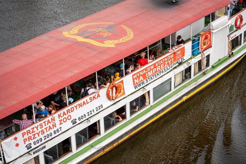 Tak wrocławianie relakcują się w mieście. Maj&oacute;wka 2024&nbsp;