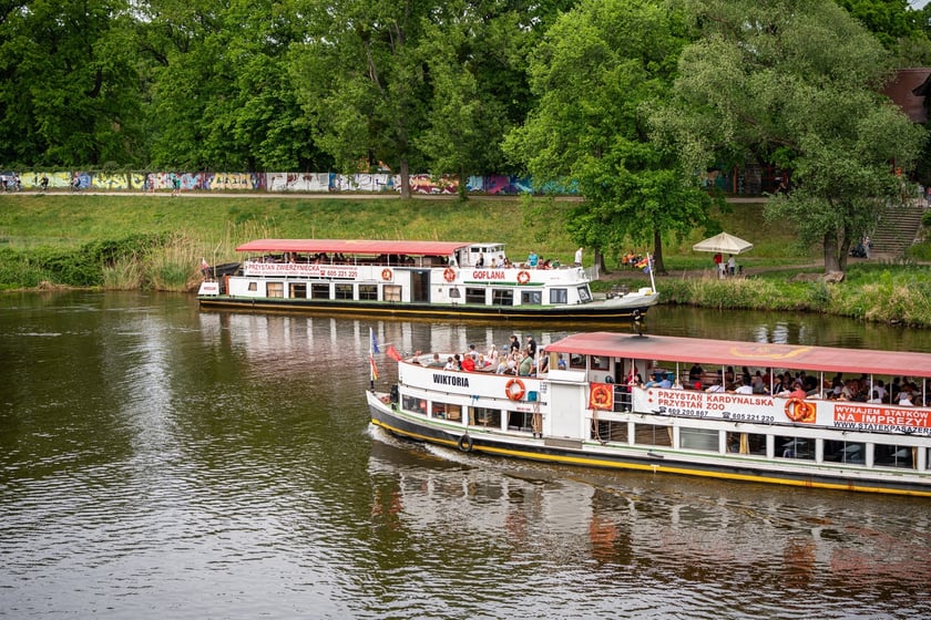 Tak wrocławianie relakcują się w mieście. Maj&oacute;wka 2024&nbsp;
