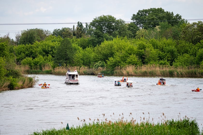 Tak wrocławianie relakcują się w mieście. Maj&oacute;wka 2024&nbsp;