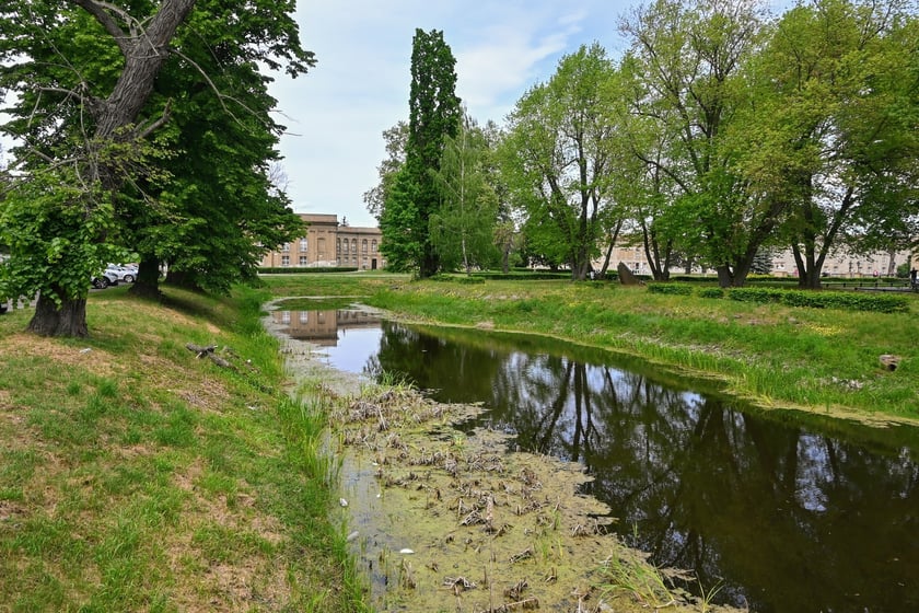 Zamek Królewski w Rydzynie.