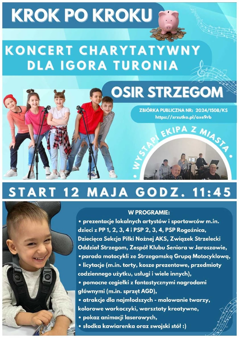 Program festynu