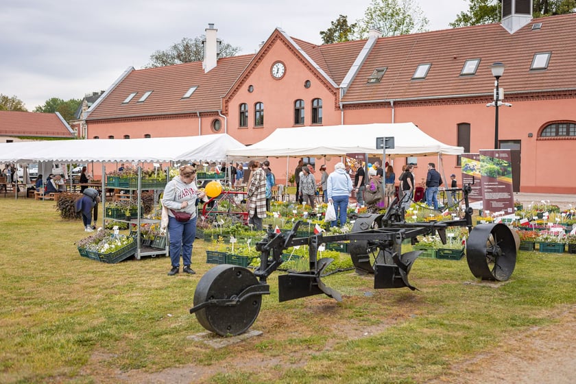 Naukowy piknik u Przyrodników, Wrocław ul. Pawłowicka 91, 11.05.2024