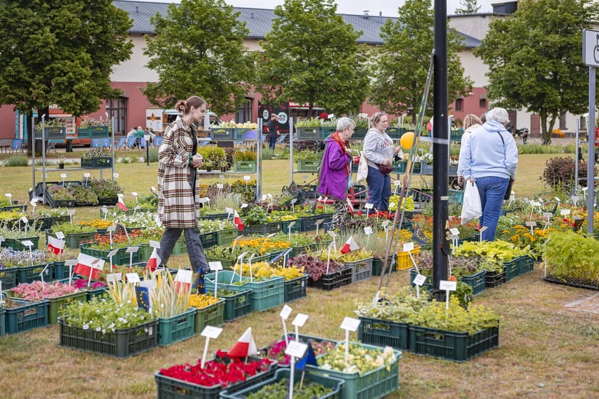 Naukowy piknik u Przyrodników, Wrocław ul. Pawłowicka 91, 11.05.2024