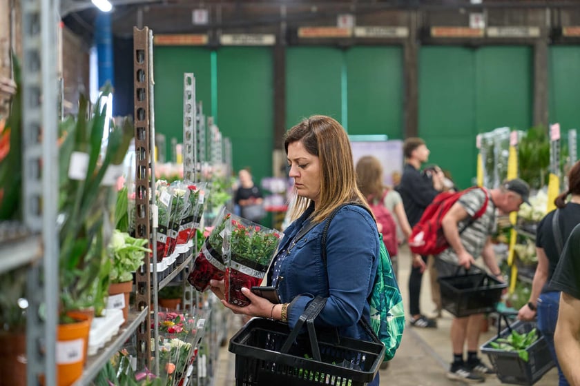 Festiwal Roślin w Czasoprzestrzeni