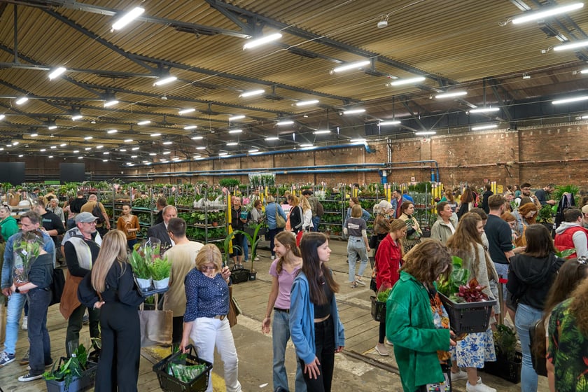 Festiwal Roślin w Czasoprzestrzeni