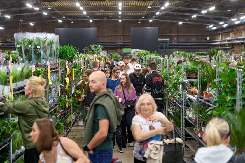 Festiwal Roślin w Czasoprzestrzeni
