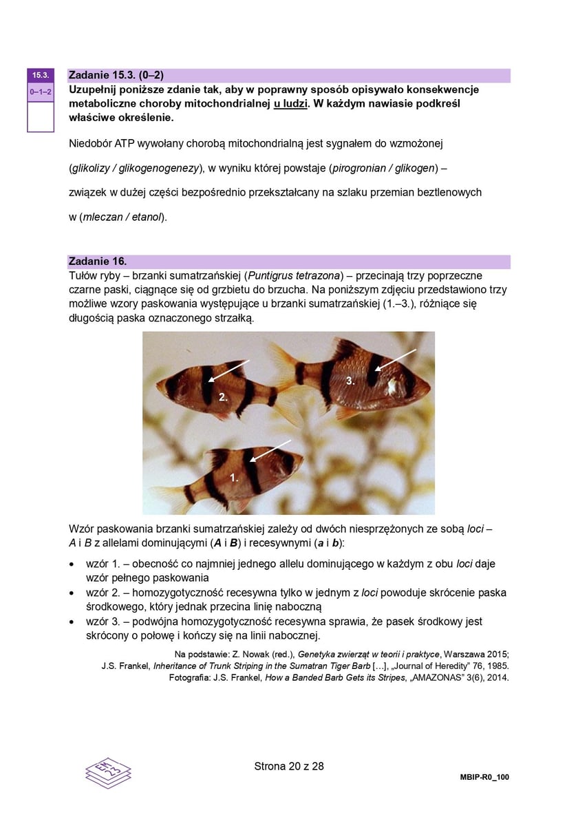 Arkusz CKE: Matura rozszerzona z biologii 2024 - zadania, 14 maja