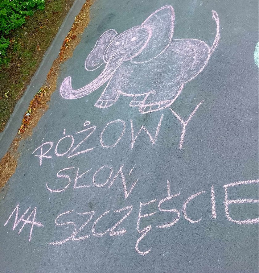 Rodzice ósmoklasistów z SP26 na Maślicach stworzyli przed szkołą motywacyjną "aleję gwiazd"