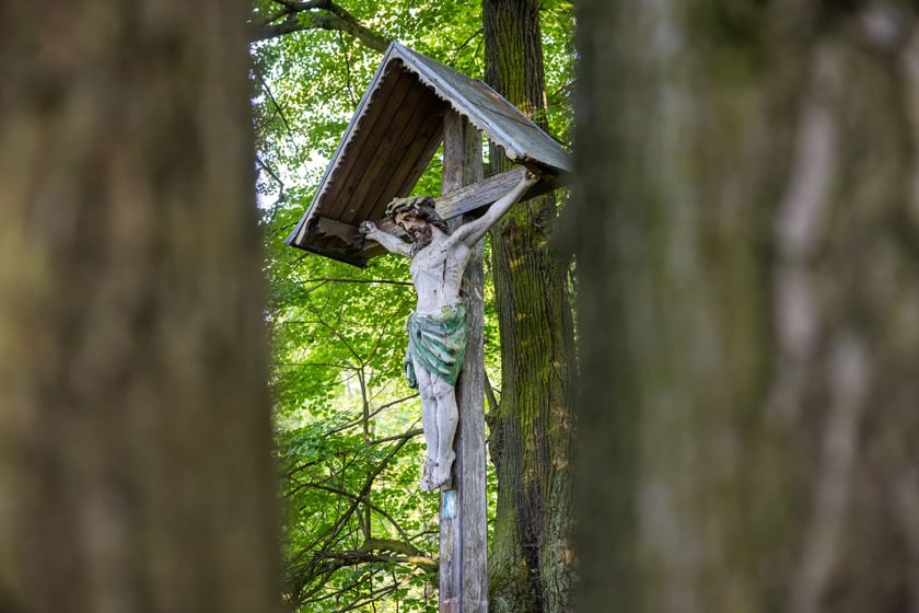 Zabytkowy krzyż nad Odrą, stojący na granicy Biskupina i Dąbia