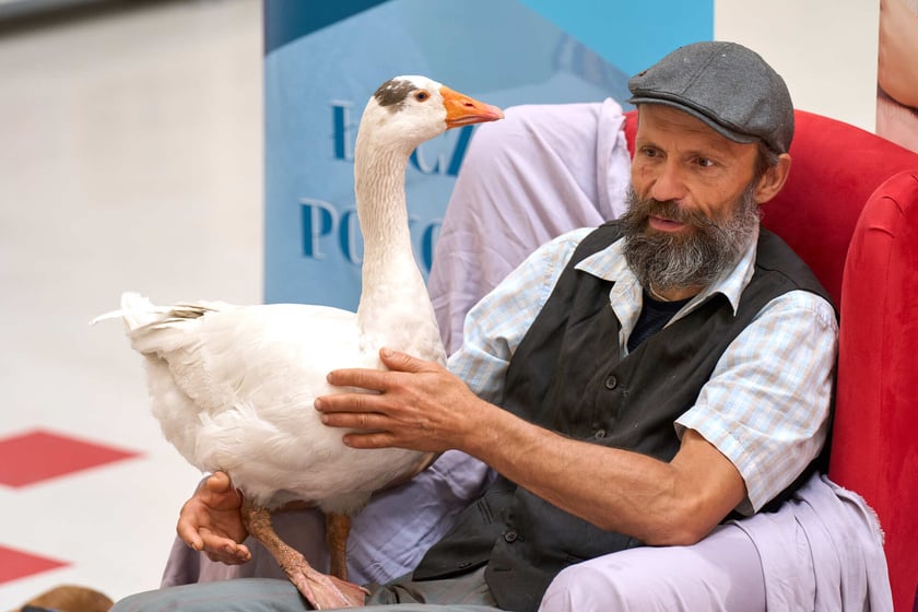 Poczytajki w Bibliotece Grafit przy Namysłowskiej