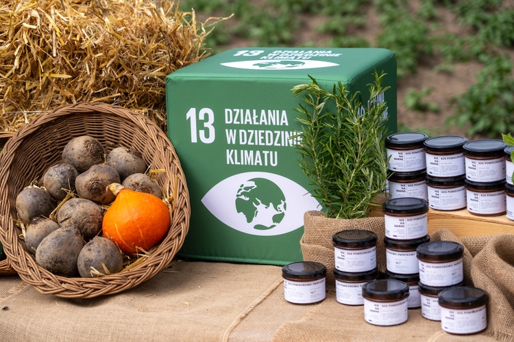 Farma Miejska z eko warzywami dla najmłodszych wrocławian