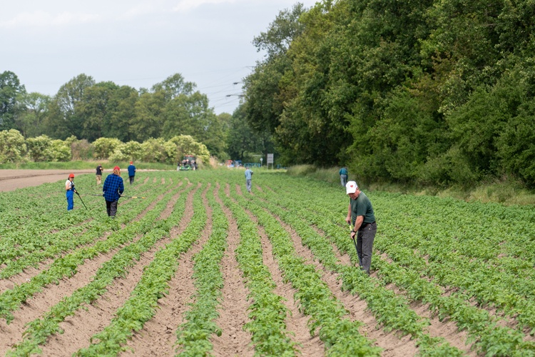 Farma Miejska z eko warzywami dla najmłodszych wrocławian
