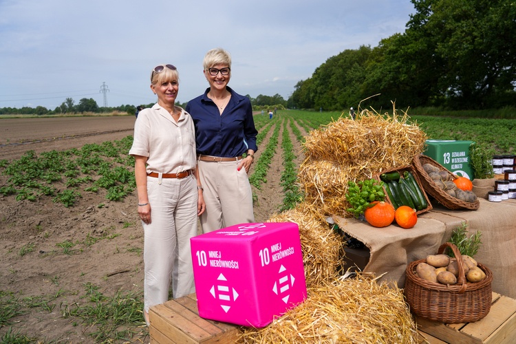 Farma Miejska z eko warzywami dla najmłodszych wrocławian