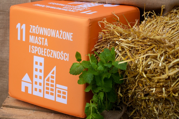 Farma Miejska z eko warzywami dla najmłodszych wrocławian