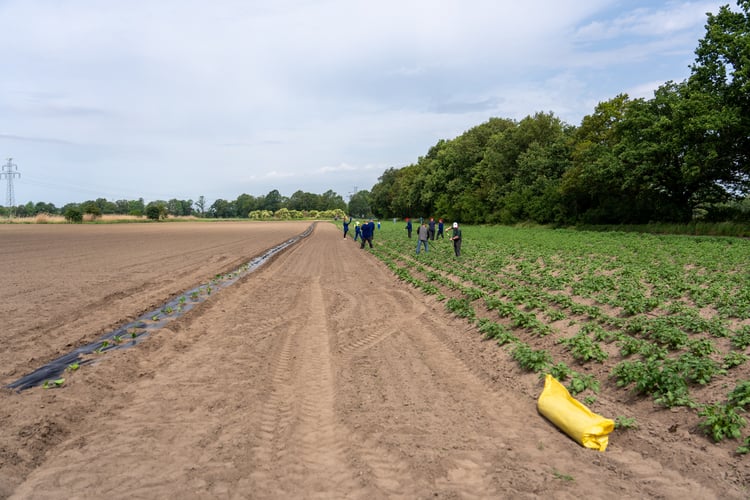 Farma Miejska z eko warzywami dla najmłodszych wrocławian