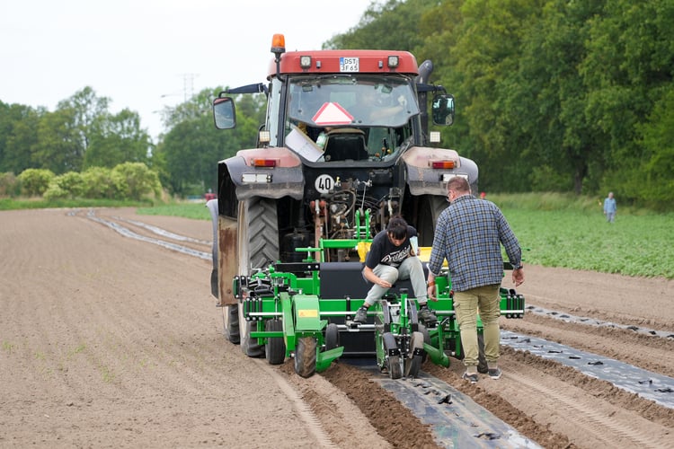Farma Miejska z eko warzywami dla najmłodszych wrocławian