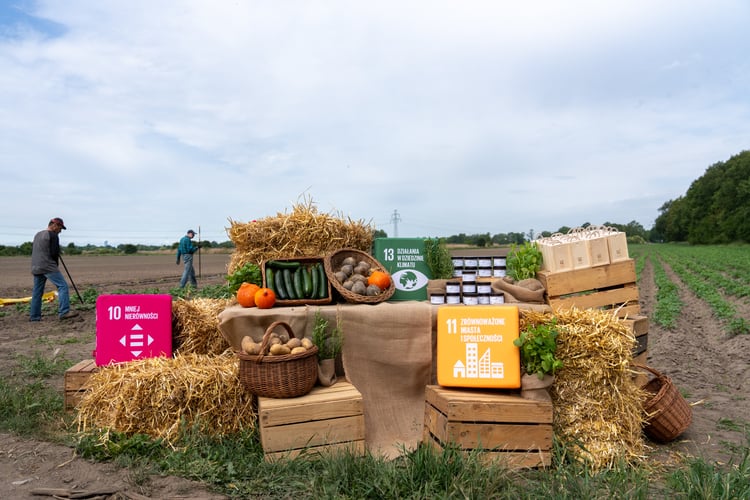 Farma Miejska z eko warzywami dla najmłodszych wrocławian