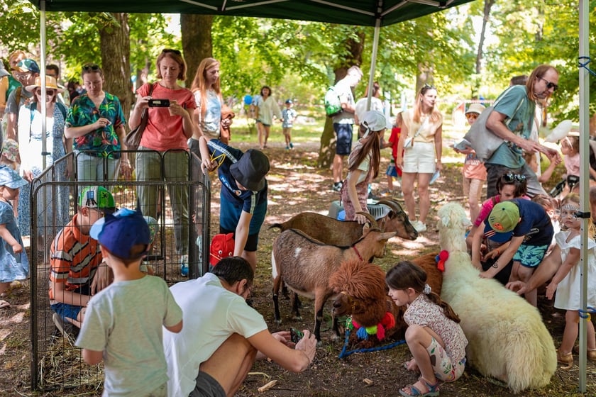 Dzień Otwarty MPK 2024 na zajezdni Gaj.