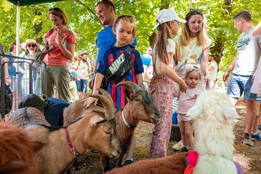 Dzień Otwarty MPK 2024 na zajezdni Gaj.