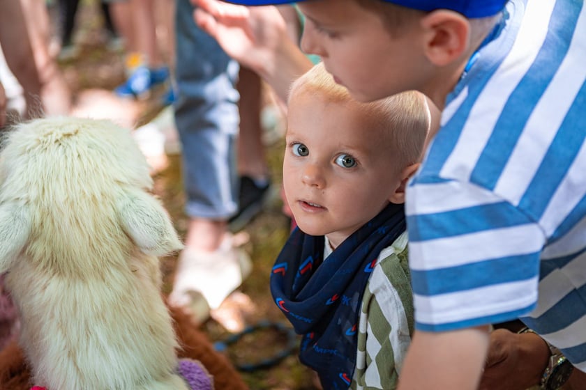 Dzień Otwarty MPK 2024 na zajezdni Gaj.