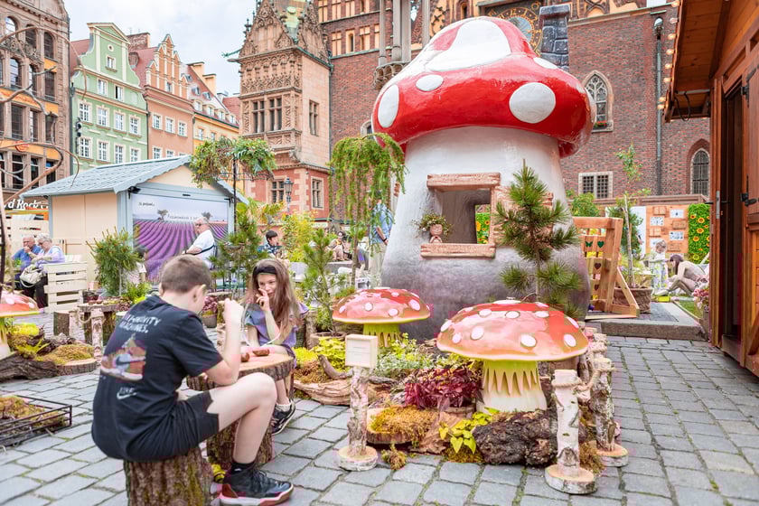 Pierwszy dzień Jarmarku Świętojańskiego we Wrocławiu.