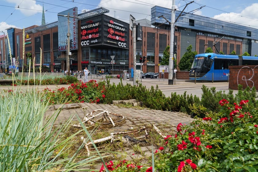 Pomnik Tian'anmen na pl. Dominikańskim
