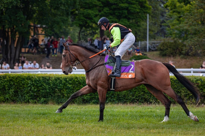 Suempol Ladies Day  na Partynicach. Wrocław, 09.06.2024