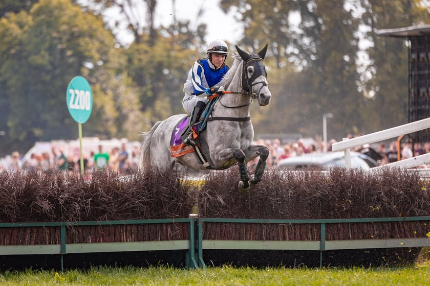 Suempol Ladies Day  na Partynicach. Wrocław, 09.06.2024
