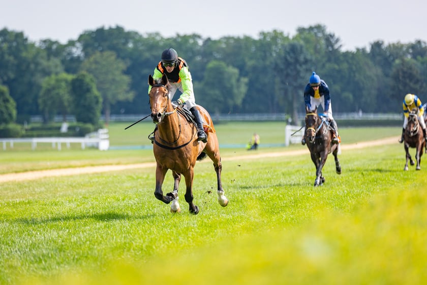 Suempol Ladies Day  na Partynicach. Wrocław, 09.06.2024