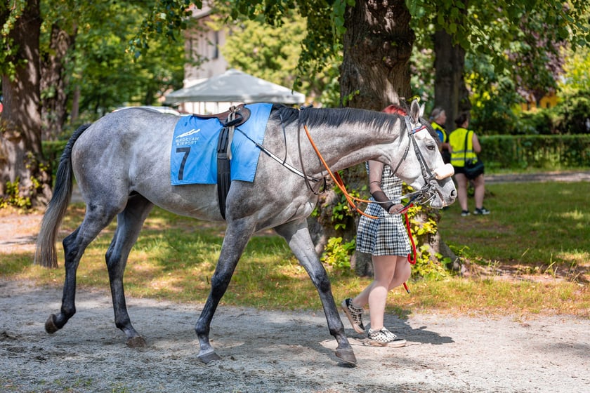 Suempol Ladies Day  na Partynicach. Wrocław, 09.06.2024