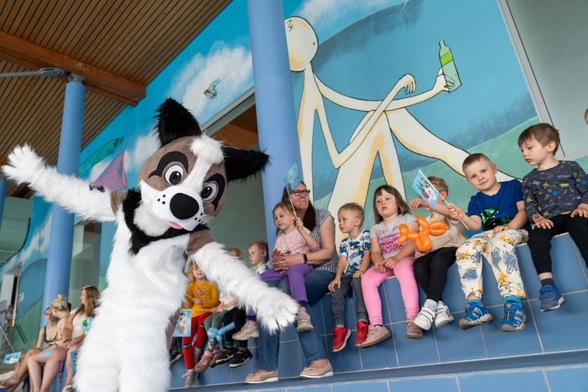 II Mistrzostwa w Pływaniu Pieskiem w Aquapark Wrocław