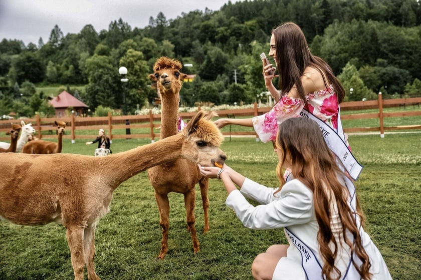 Miss Polski 2024. Zobaczcie najładniejsze Polki [ZDJĘCIA]