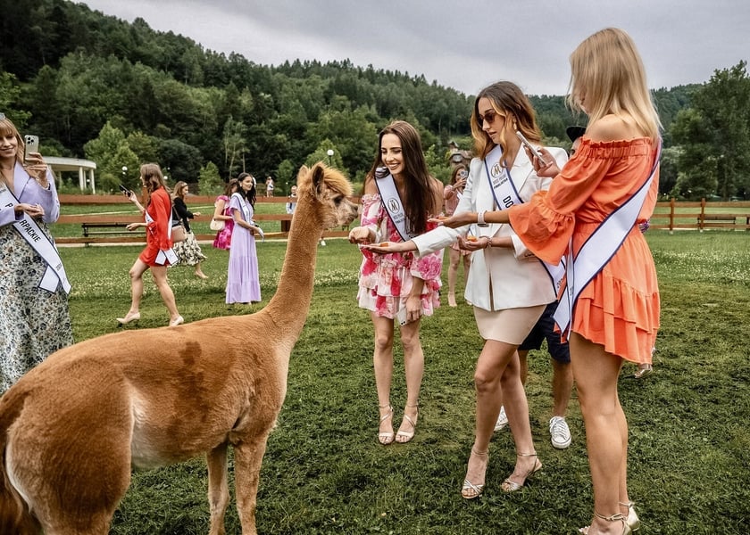 Miss Polski 2024. Zobaczcie najładniejsze Polki [ZDJĘCIA]