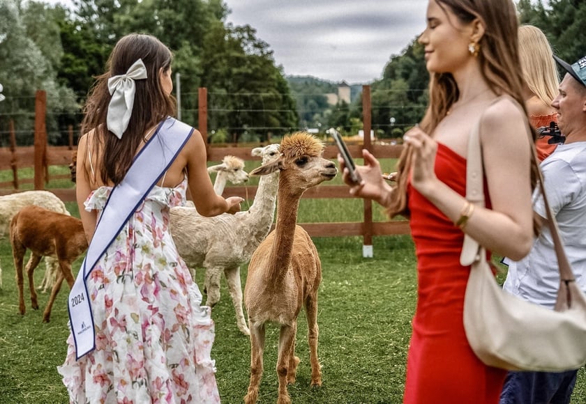 Miss Polski 2024. Zobaczcie najładniejsze Polki [ZDJĘCIA]