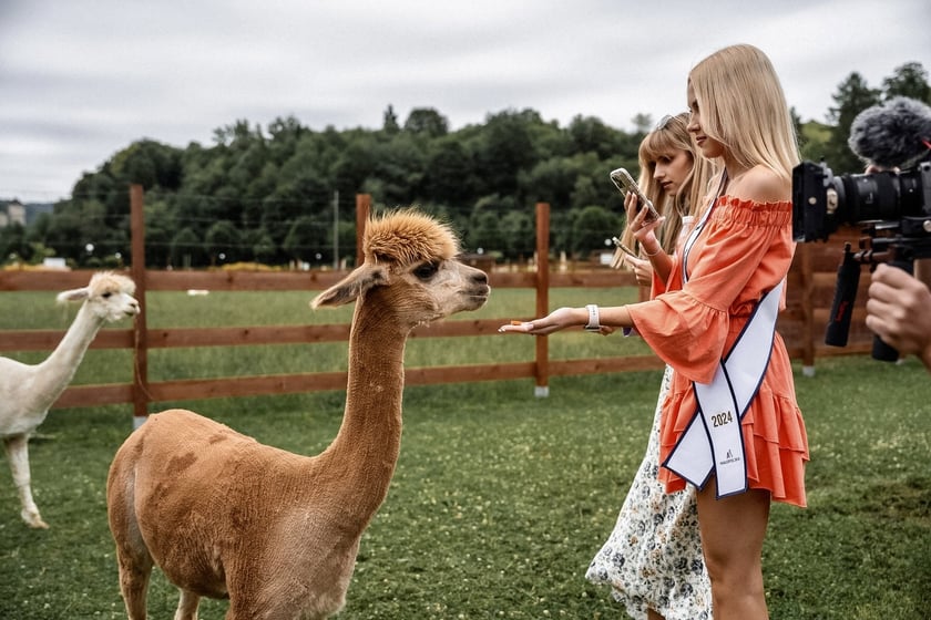 Miss Polski 2024. Zobaczcie najładniejsze Polki [ZDJĘCIA]