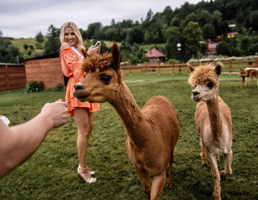 Miss Polski 2024. Zobaczcie najładniejsze Polki [ZDJĘCIA]