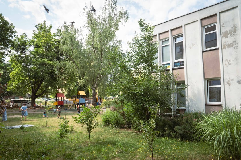 Przedszkole na ul. Oporowskiej stworzyło ogrody warzywne i łąkę na muralu