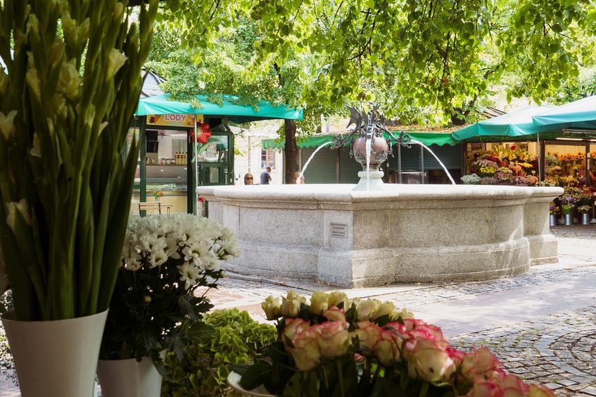 Fontanna z pyskami smok&oacute;w na placu Solnym