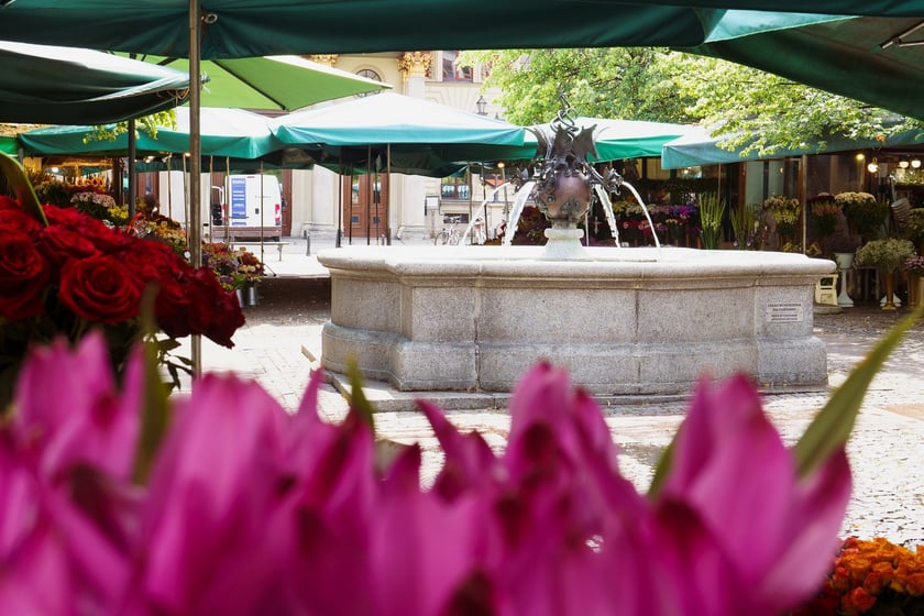 Fontanna z pyskami smok&oacute;w na placu Solnym