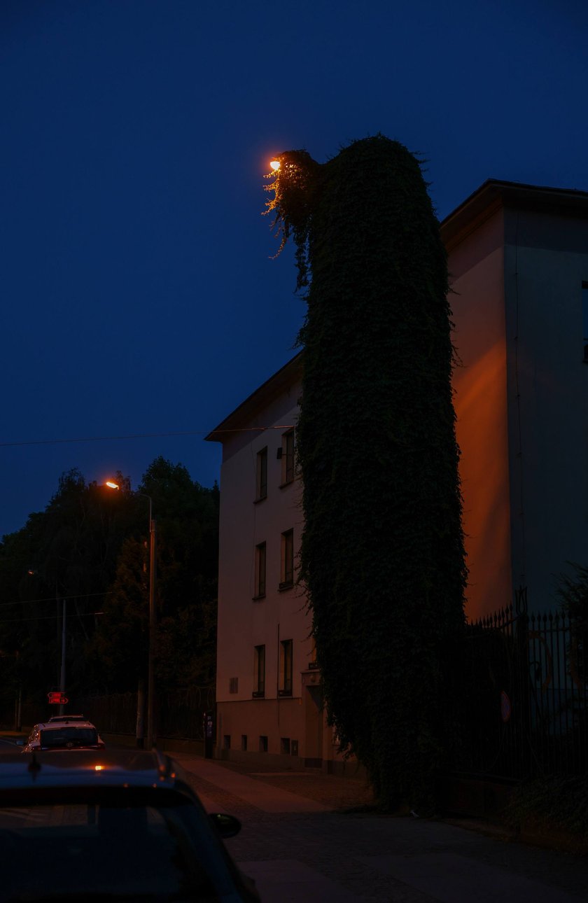 Upiorna latarnia we Wrocławiu - zdjęcia po zmroku