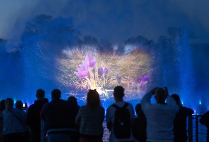 Fontanna Multimedialna 2024. Zobaczcie zdjęcia