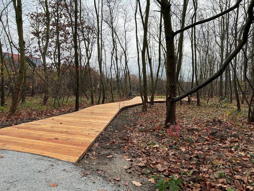 Park Kieszonkowy przy ul. Melioranckiej