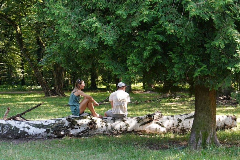 Upalna niedziela we Wrocławiu. Park Zachodni i okolice