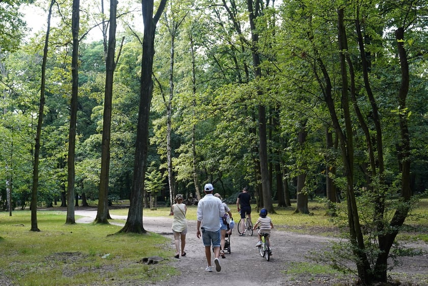 Upalna niedziela we Wrocławiu. Park Zachodni i okolice