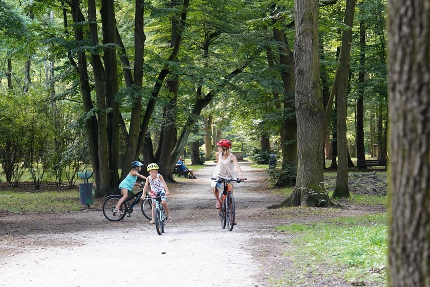 Upalna niedziela we Wrocławiu. Park Zachodni i okolice
