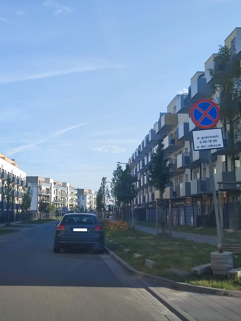 Przykłady nieprawidłowego parkowania&nbsp;