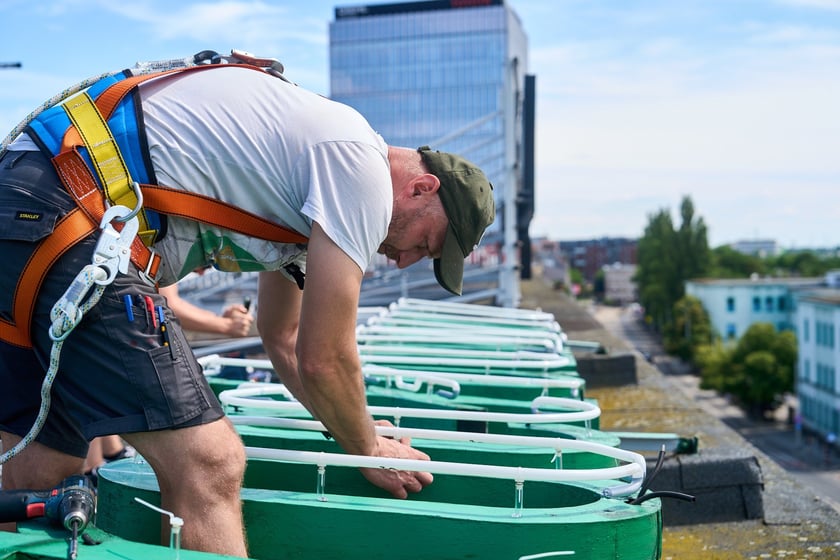 Mocowanie szklanych rur neonu "dobry wieczór we Wrocławiu", 23 lipca 2024