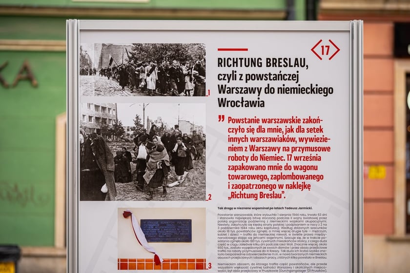 Fragment wystawy Burgweide. Niemiecki obóz przejściowy i obóz pracy. Miejsce – ludzie – pamięć. Rynek we Wrocławiu, styczeń 2024