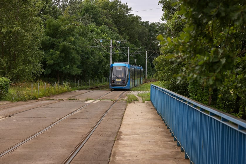Stary most Pilczycki, 5 sierpnia 2024